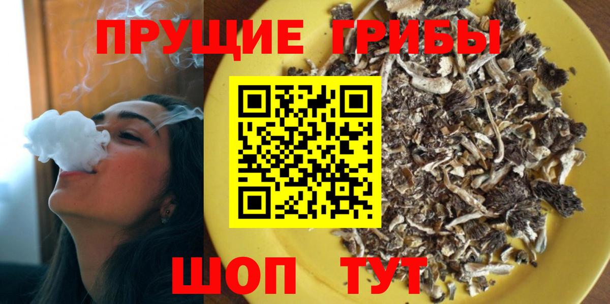 Псилоцибиновые грибы мухоморы  сколько стоит  Клинцы  Вход с VPN 