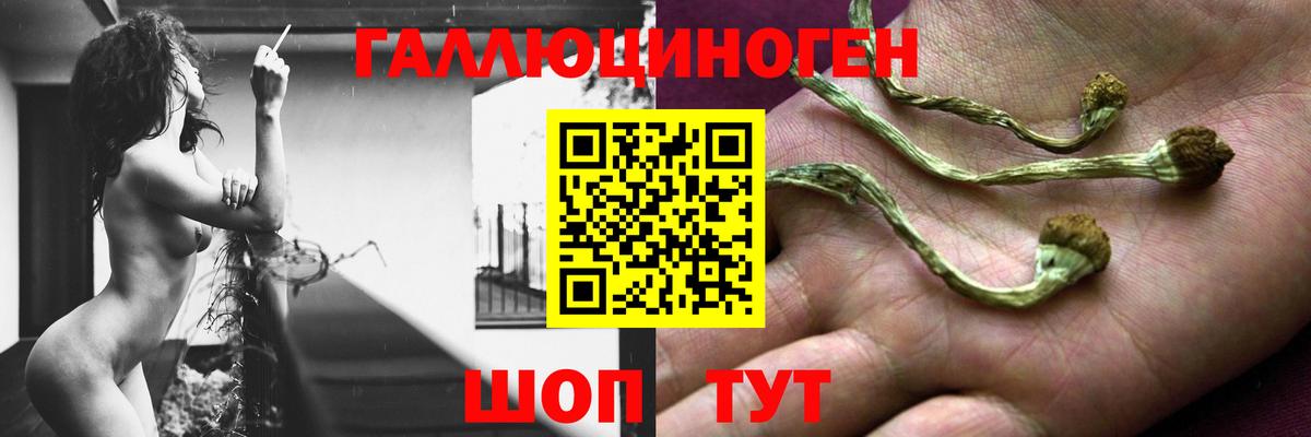 Псилоцибиновые грибы GOLDEN TEACHER Клинцы