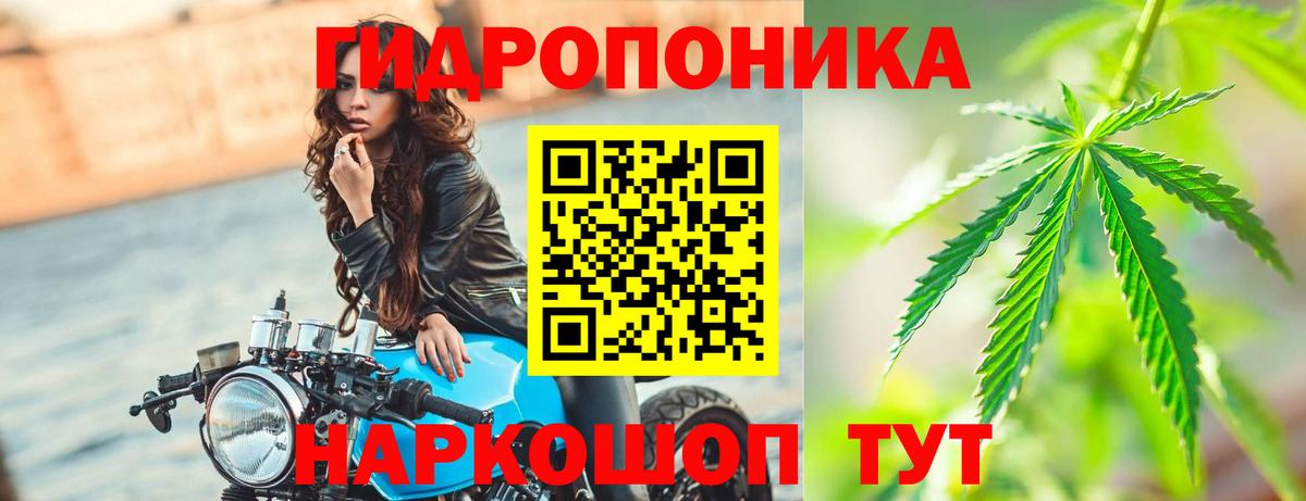 Конопля тримм  Вход с VPN  Клинцы  Шишки марихуана план  Каннабис LSD WEED 